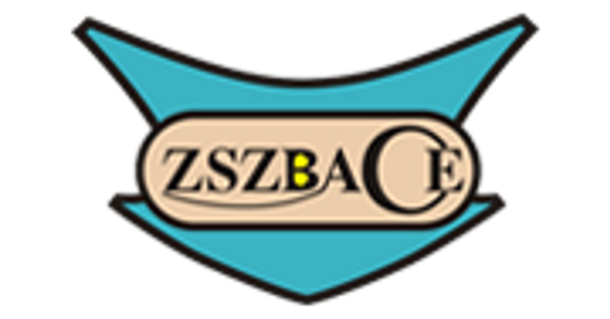 Shoulder Support Brace – zszbace brand store
