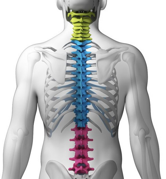Using a Back Brace for Lower Back Pain Relief