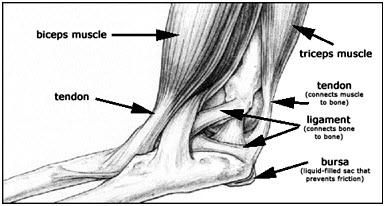 6 Tips for Managing Elbow Pain