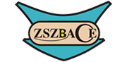 zszbace brand store